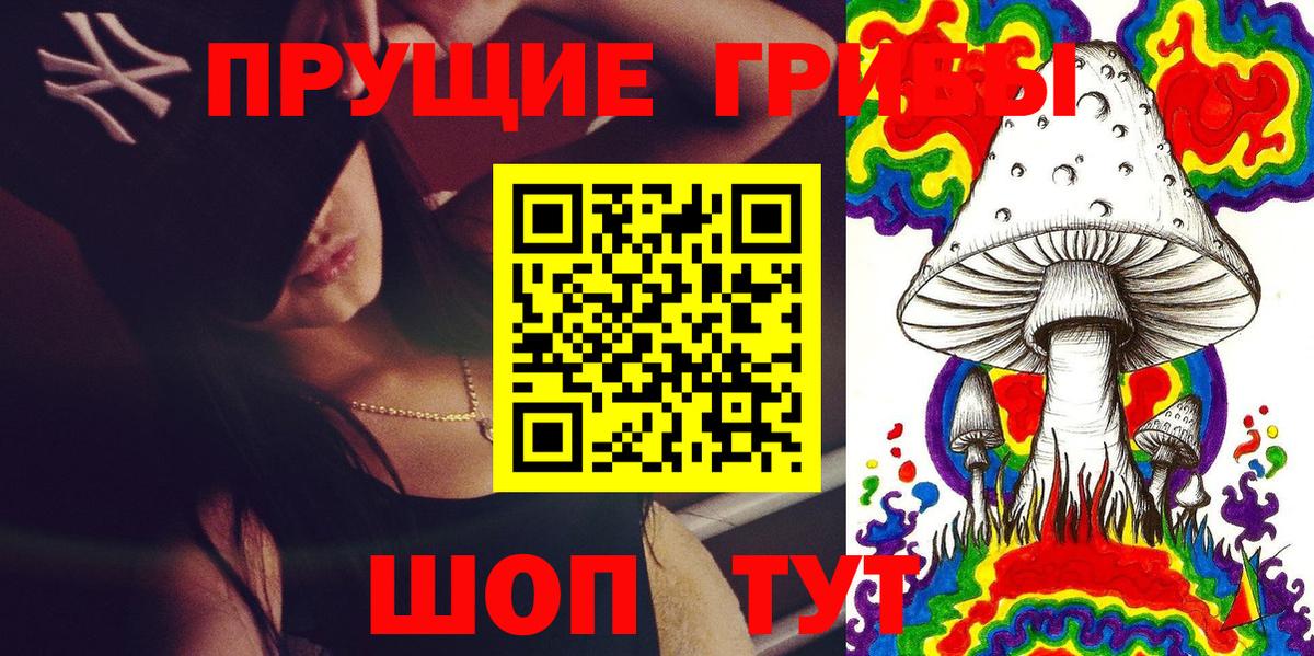 Псилоцибиновые грибы MAGIC MUSHROOMS Богданович