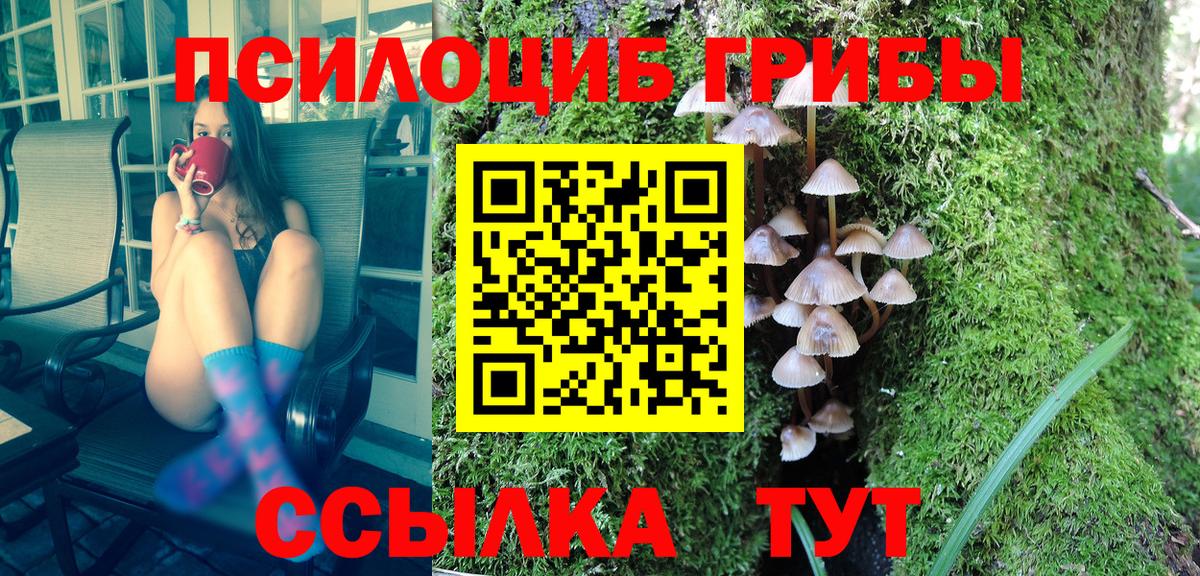 Псилоцибиновые грибы прущие грибы  Псилоцибиновые грибы мухоморы  Богданович  Вход с VPN 